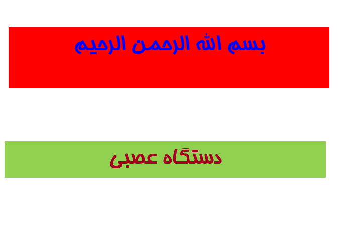 دانلود-پاورپوینت-دستگاه-عصبی
